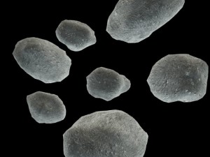 asteroids lowpoly 3D 模型