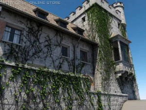 castle 3D Model
