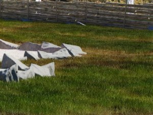 vray grass tutorial 3D Model