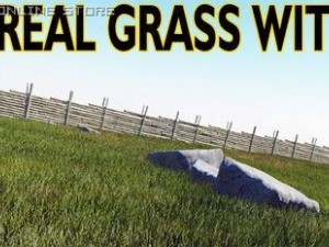 vray grass tutorial 3D Model