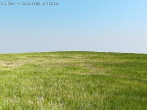 vray grass tutorial 3D Model