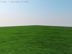 vray grass tutorial 3D Model