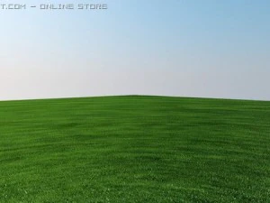 vray grass tutorial 3D Model