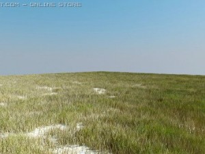 vray grass tutorial 3D Model