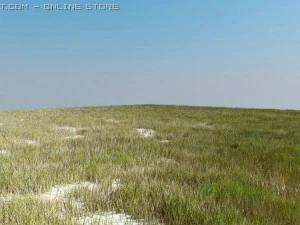 vray grass tutorial 3D Model