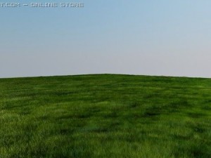 vray grass tutorial 3D Model