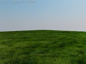 vray grass tutorial 3D Model