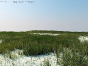 vray grass tutorial 3D Model