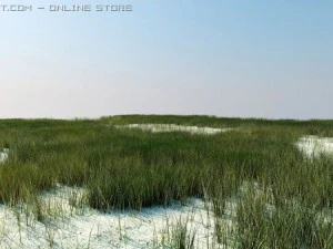 vray grass tutorial 3D Model