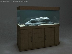 fish tank 3Dモデル