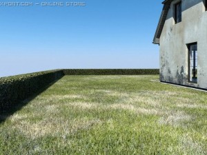 rotten villa Modèle 3D