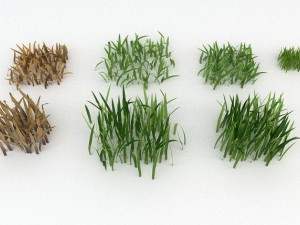 grass 3D मॉडल