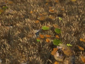grass 3D Model