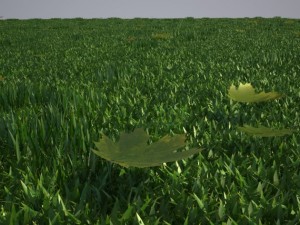grass 3D मॉडल
