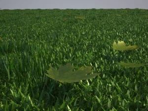 grass 3D Model