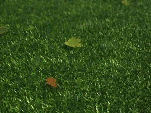 grass 3D Model