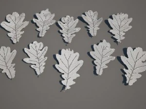 leaf collection 3D Model