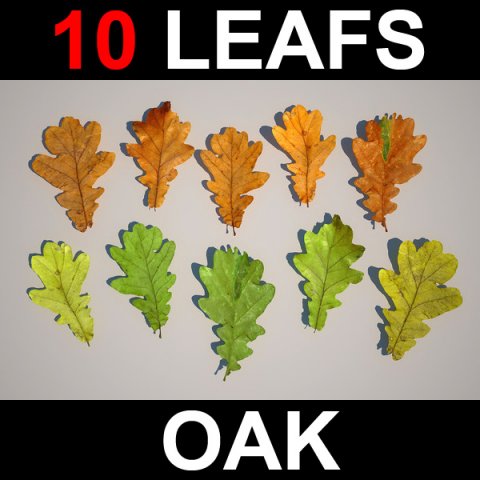 oak leafs Modello 3D .c4d .max .obj .3ds .fbx .stl .blend 