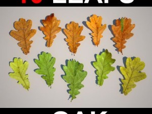 oak leafs 3D Model