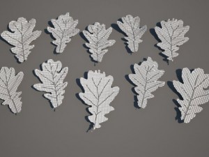 oak leafs Modello 3D