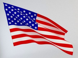 animated flag 3D 模型