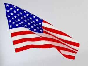 animated flag 3D 模型
