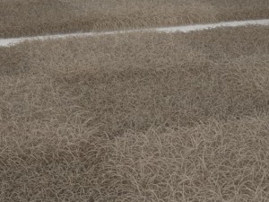 rug checker 3D Модель