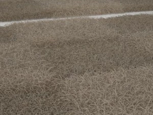 rug checker 3D Model