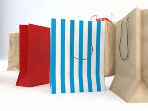 shopping bag collection 3D Model