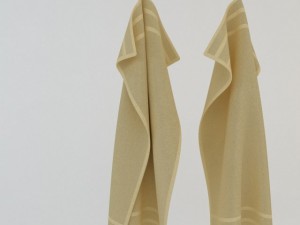 hanging towel Model 3D