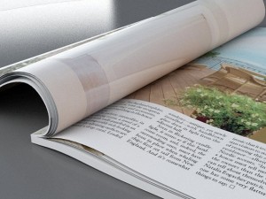 magazine Modèle 3D