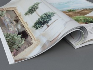 magazine Modèle 3D