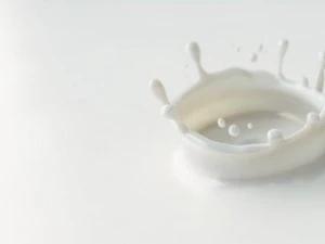 milk drop 3D Model