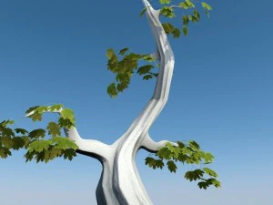 tree 3D Model