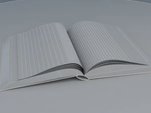 open book 3D Model