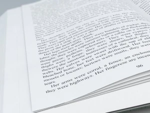 open book 3D Model