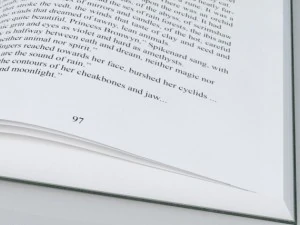 open book 3D Model