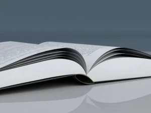 open book 3D Model