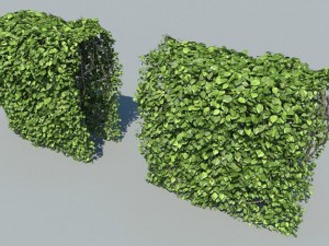 hedge modules 3D मॉडल