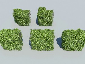 hedge modules 3D मॉडल