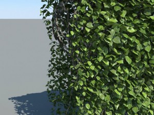 hedge modules 3D मॉडल