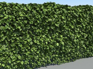 hedge modules 3D मॉडल