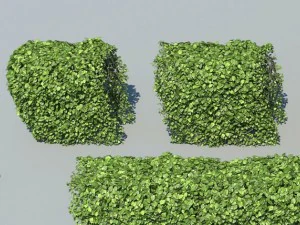 hedge modules 3D Model