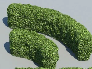 hedge modules 3D Model