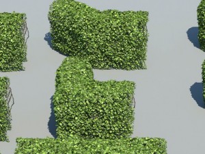 hedge modules 3D मॉडल