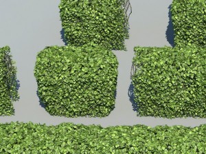 hedge modules 3D मॉडल