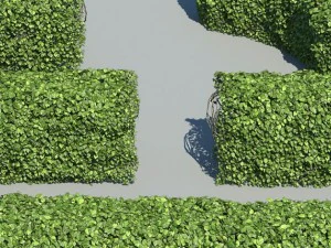 hedge modules 3D Model