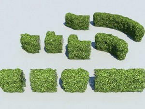 hedge modules 3D मॉडल