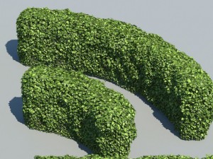 hedge modules 3D मॉडल