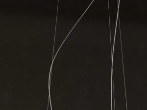 foscarini caboche lamp 3D Model